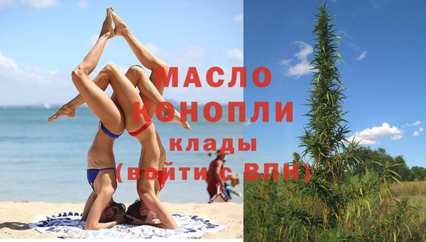 гидропоника Алзамай